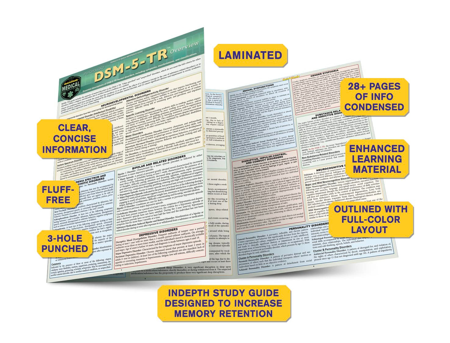 DSM-5-TR Overview: a Quickstudy Laminated Reference Guide