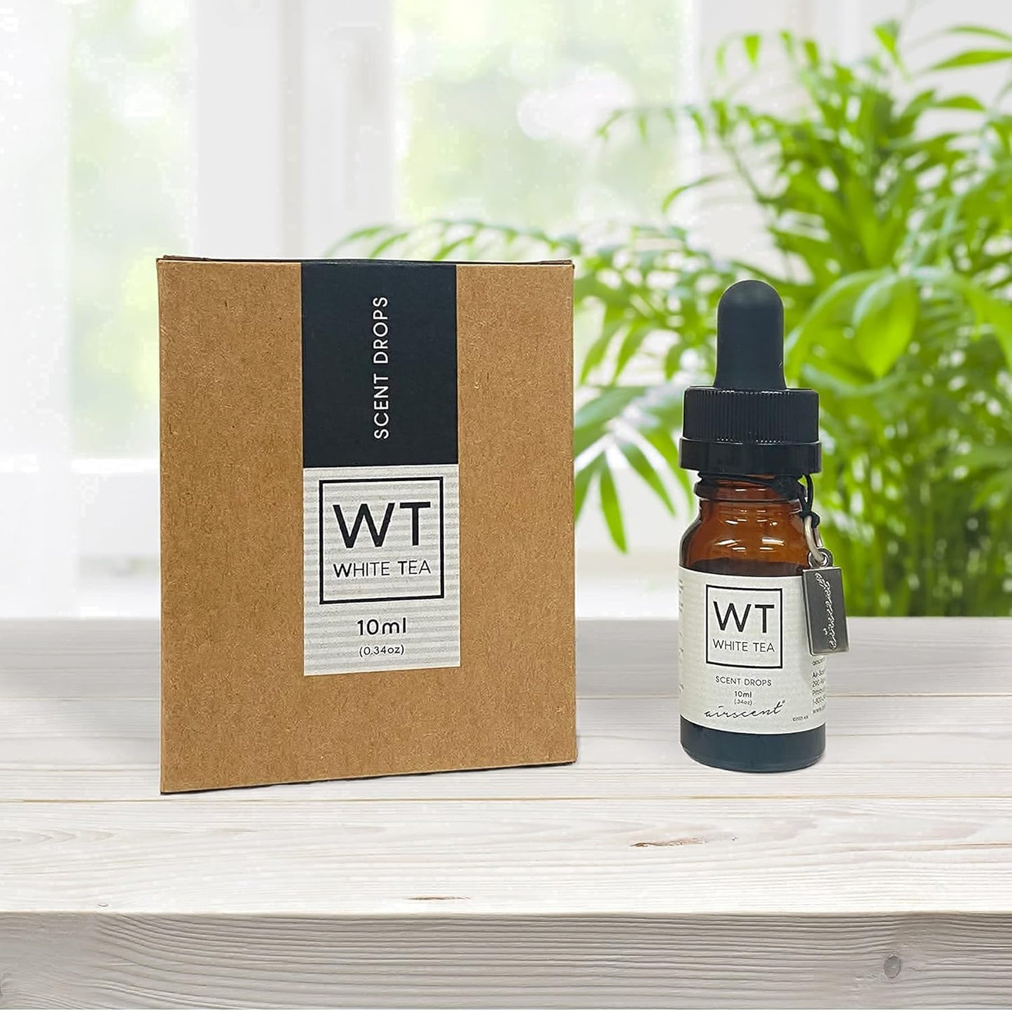 White Tea Diffuser Oil -  Aroma and White Tea Essential Oil Blend - 10 Ml, .34 Fl Oz Glass Dropper Bottle for Aromatherapy Diffusers and Humidifiers