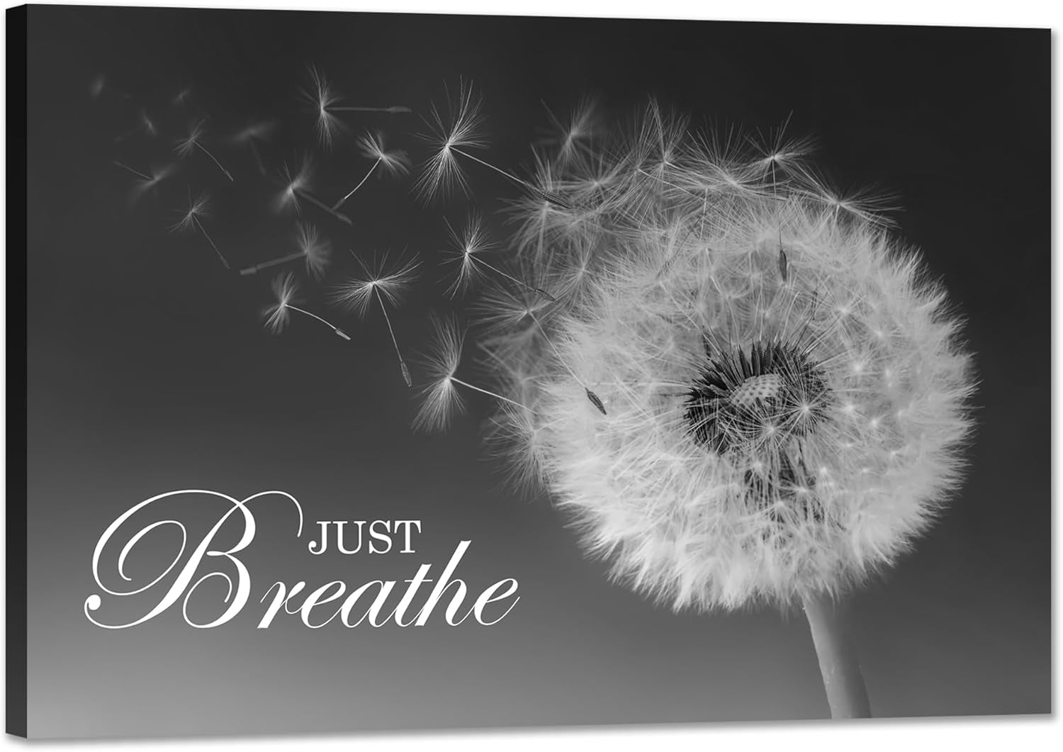 Just Breathe Wall Art Zen Office Wall Decor Inspirational Yoga Quotes Positive Relax Artwork Picture Black and White Dandelion Posters Print for Meditation Room (12L X 16W)