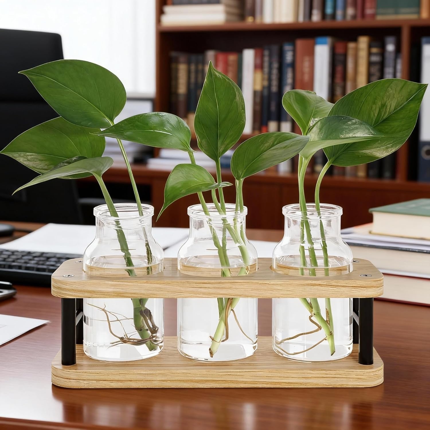 Plant Propagation Station with Wooden Stand, Propagation Vases Glass Planters for Indoor Plants Hydroponic Propagating Jars Home Office Decor, Plant Lover Gifts