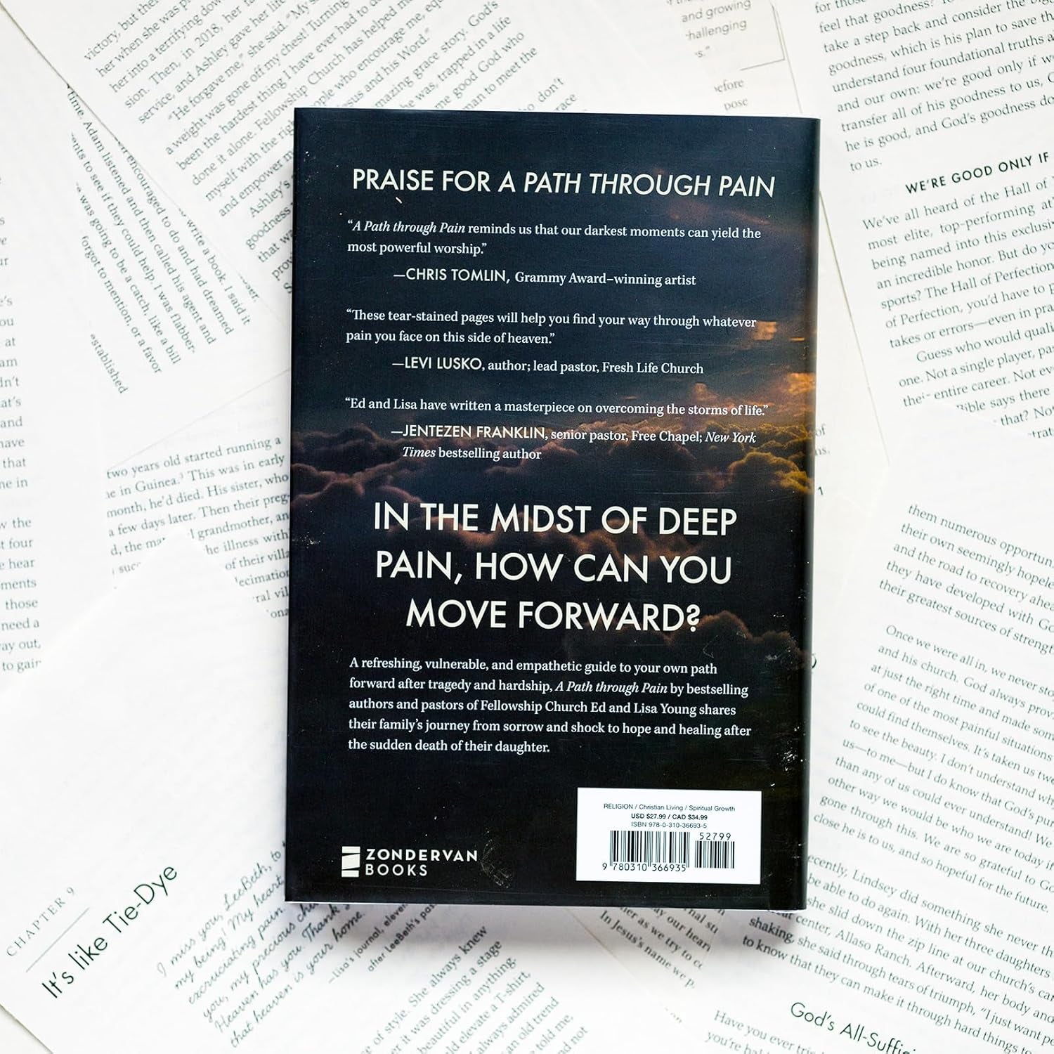 A Path through Pain: How Faith Deepens and Joy Grows through What You Would Never Choose