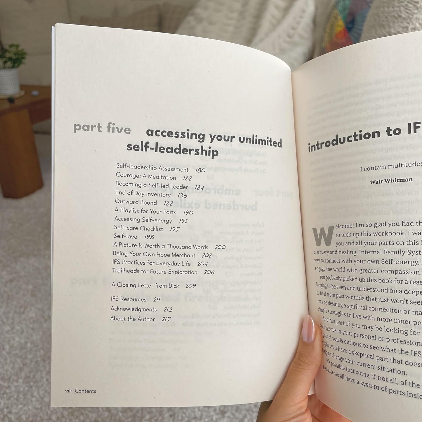 The Internal Family Systems Workbook: a Guide to Discover Your Self and Heal Your Parts (Sounds True Inner Workbooks)
