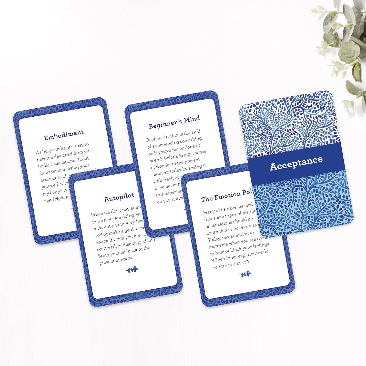 ACT Daily Card Deck: 52 Ways to Stay Present and Live Your Values Using Acceptance and Commitment Therapy