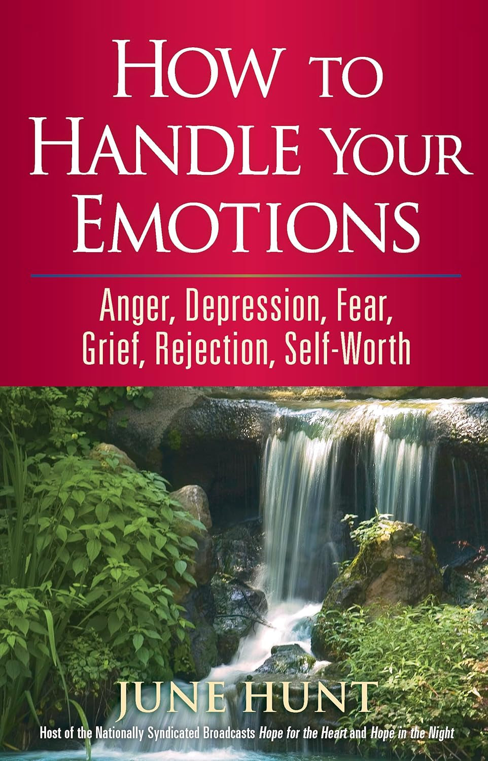 How to Handle Your Emotions: Anger, Depression, Fear, Grief, Rejection, Self-Worth (Counseling through the Bible Series)