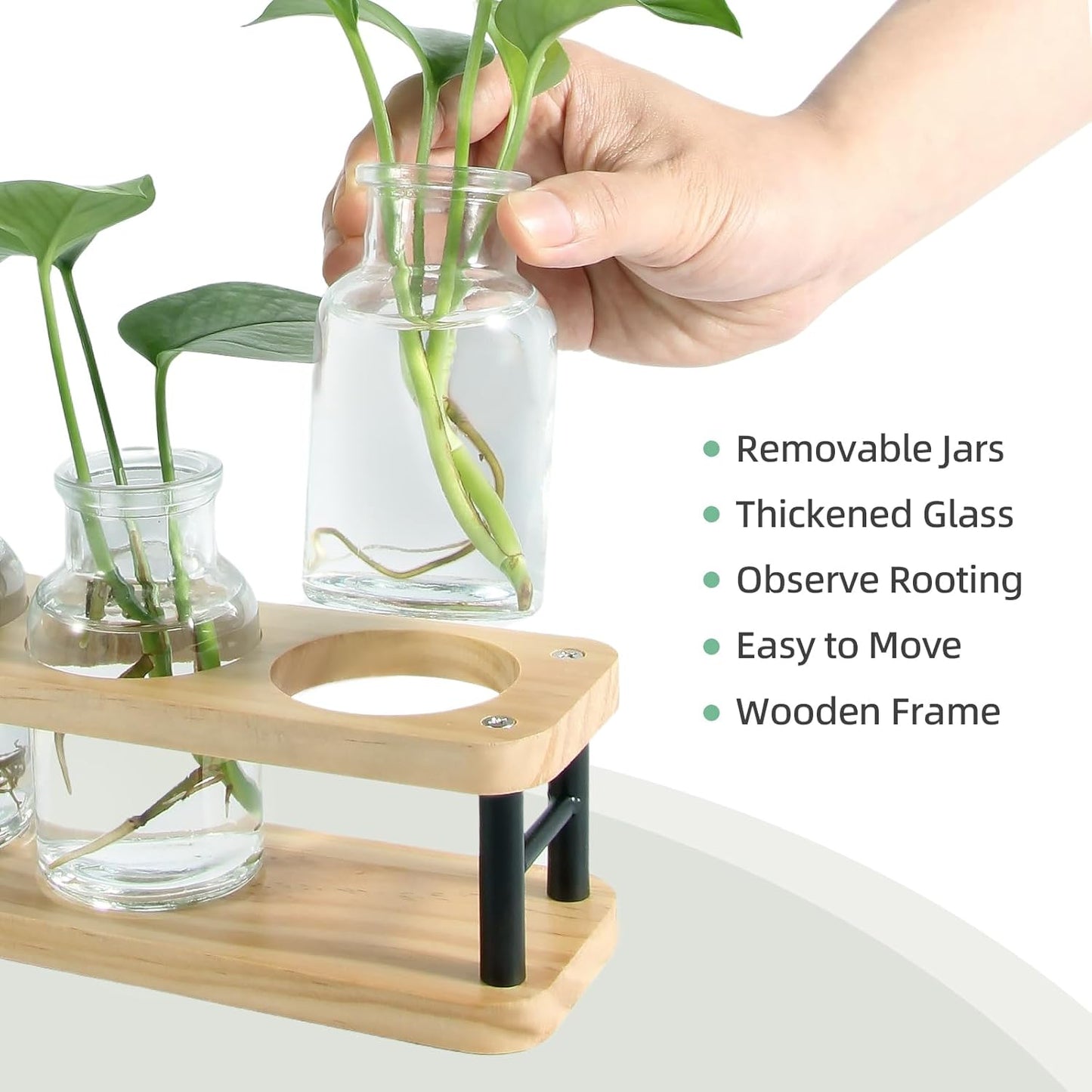 Plant Propagation Station with Wooden Stand, Propagation Vases Glass Planters for Indoor Plants Hydroponic Propagating Jars Home Office Decor, Plant Lover Gifts