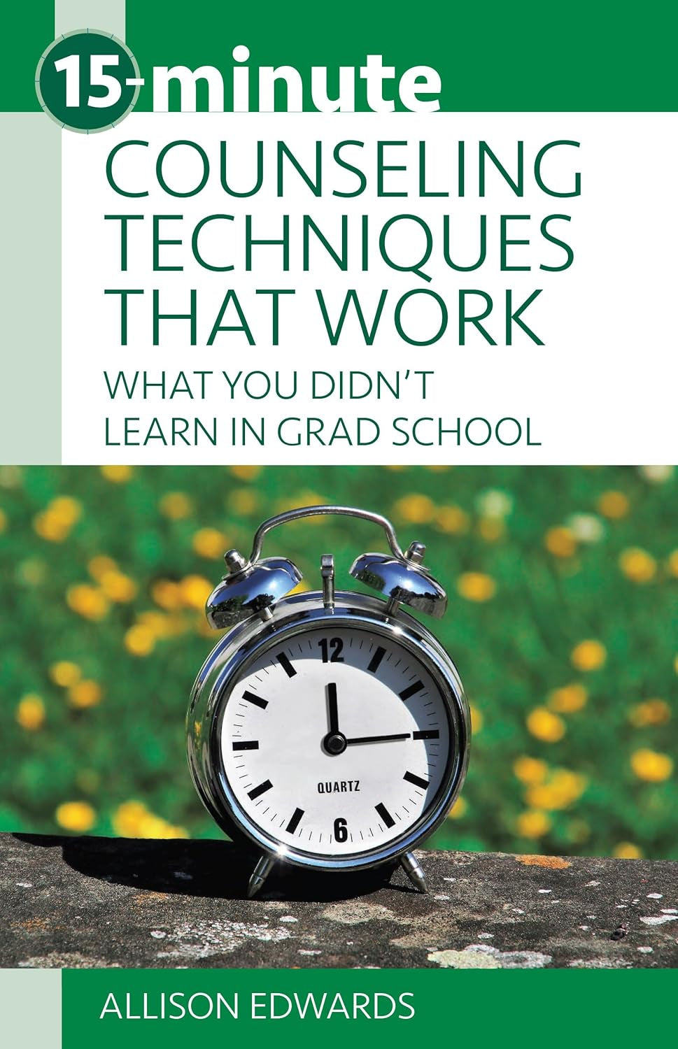 15-Minute Counseling Techniques That Work: What You Didn'T Learn in Grad School (15-Minute Focus Series)