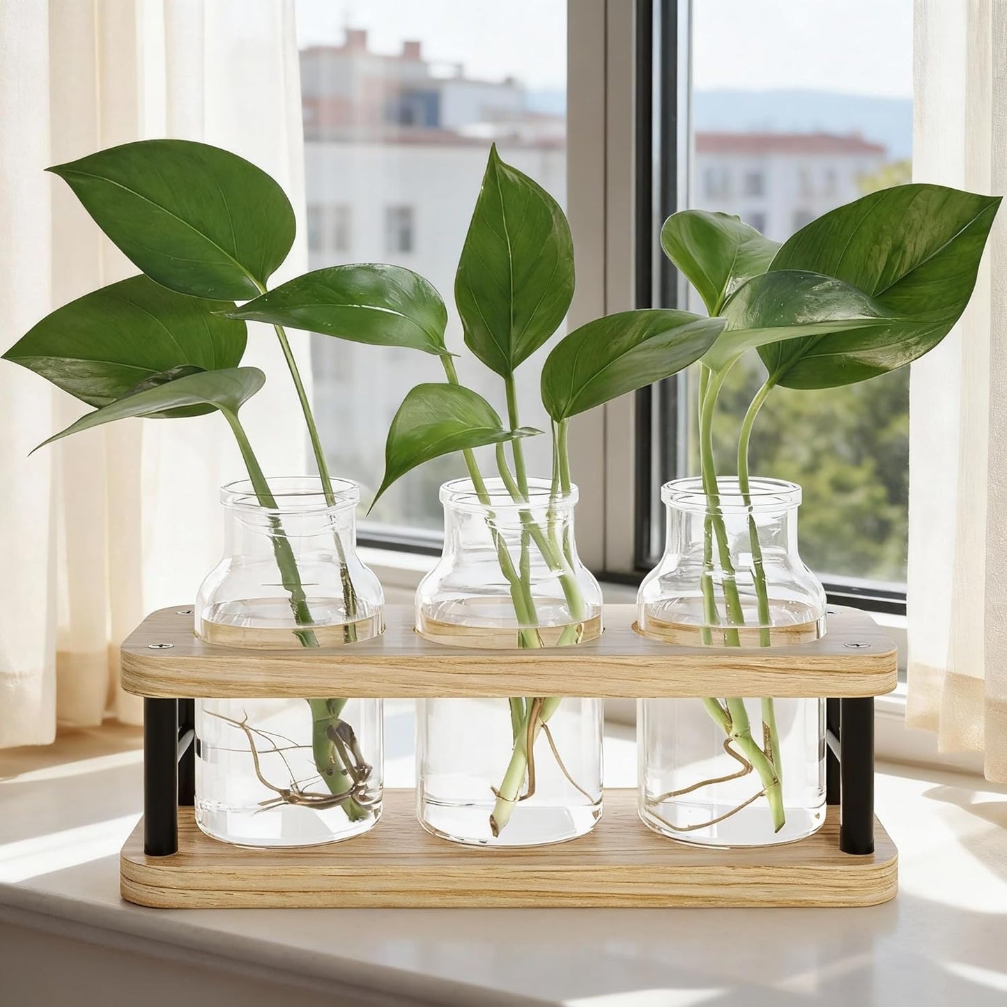Plant Propagation Station with Wooden Stand, Propagation Vases Glass Planters for Indoor Plants Hydroponic Propagating Jars Home Office Decor, Plant Lover Gifts