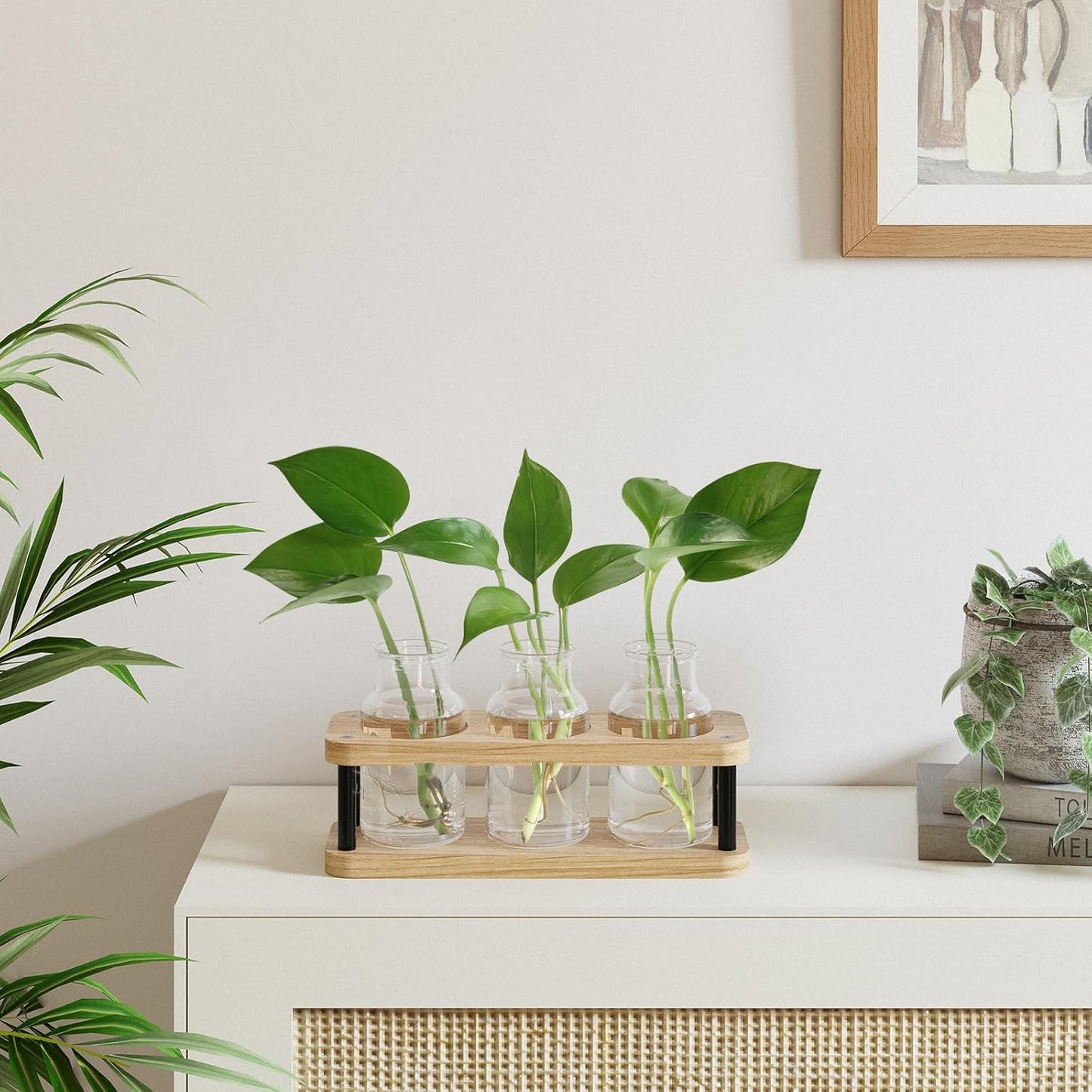 Plant Propagation Station with Wooden Stand, Propagation Vases Glass Planters for Indoor Plants Hydroponic Propagating Jars Home Office Decor, Plant Lover Gifts