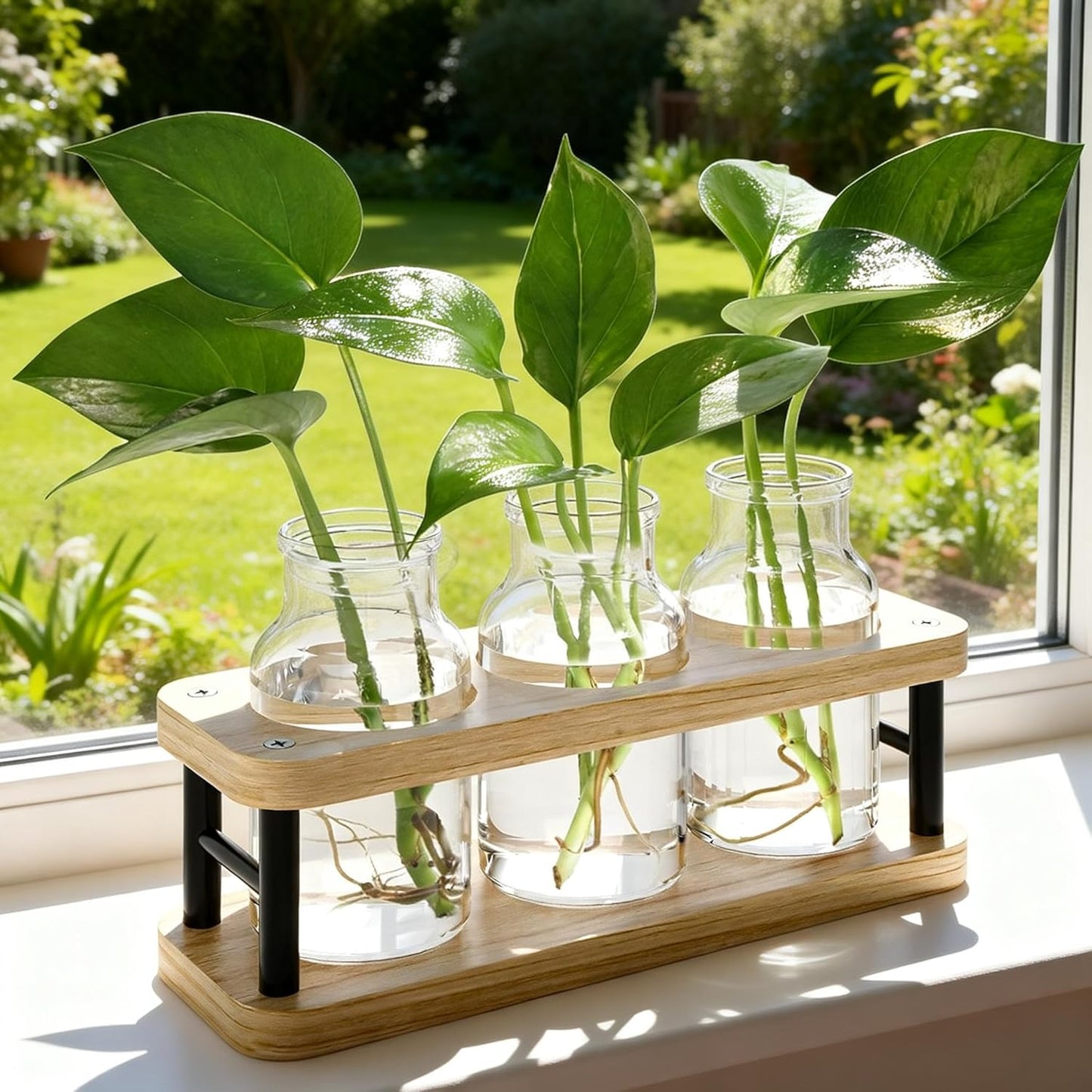 Plant Propagation Station with Wooden Stand, Propagation Vases Glass Planters for Indoor Plants Hydroponic Propagating Jars Home Office Decor, Plant Lover Gifts