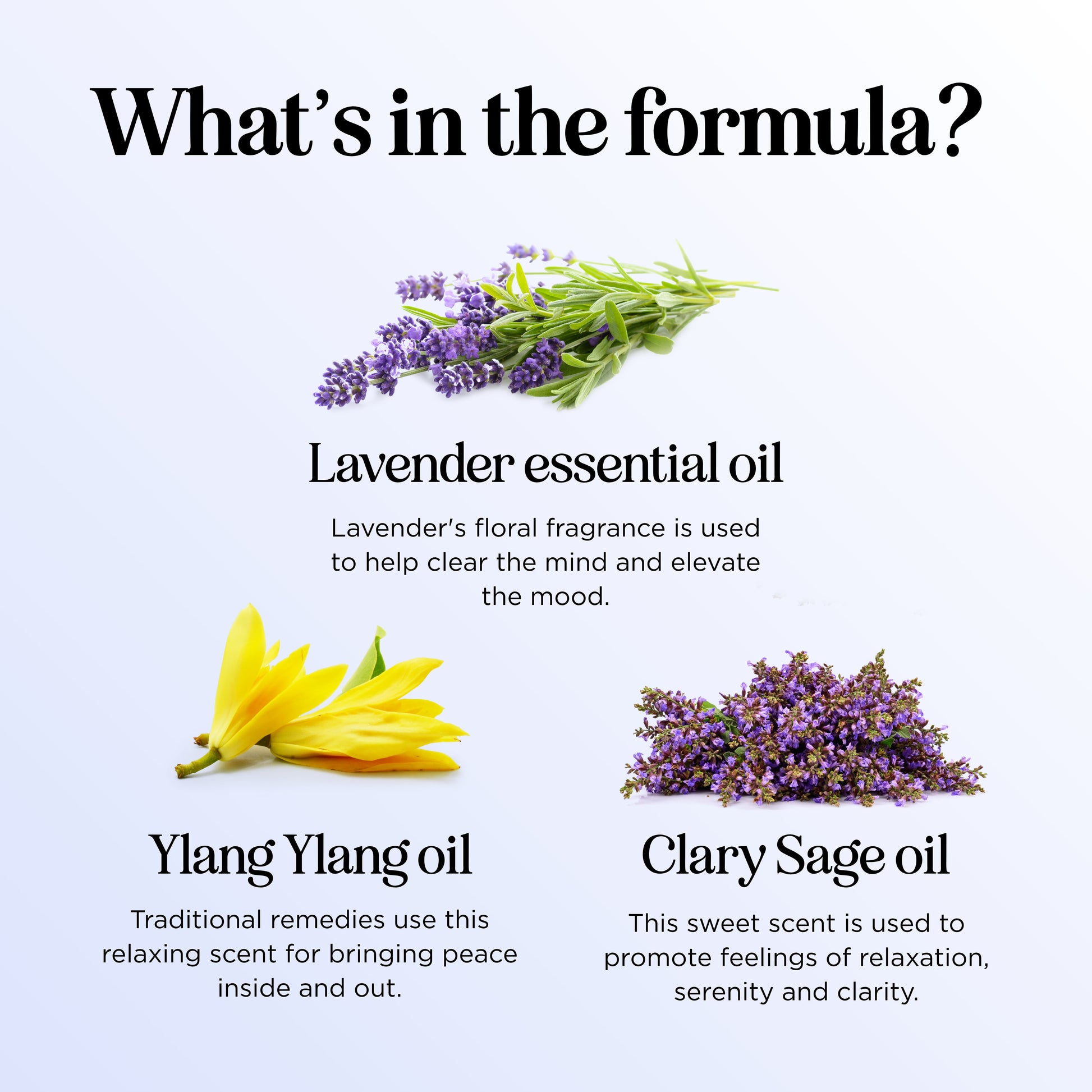 Dream Essential Oil Blend for Aromatherapy and Relaxation, Lavender Scent, 4 Fl Oz