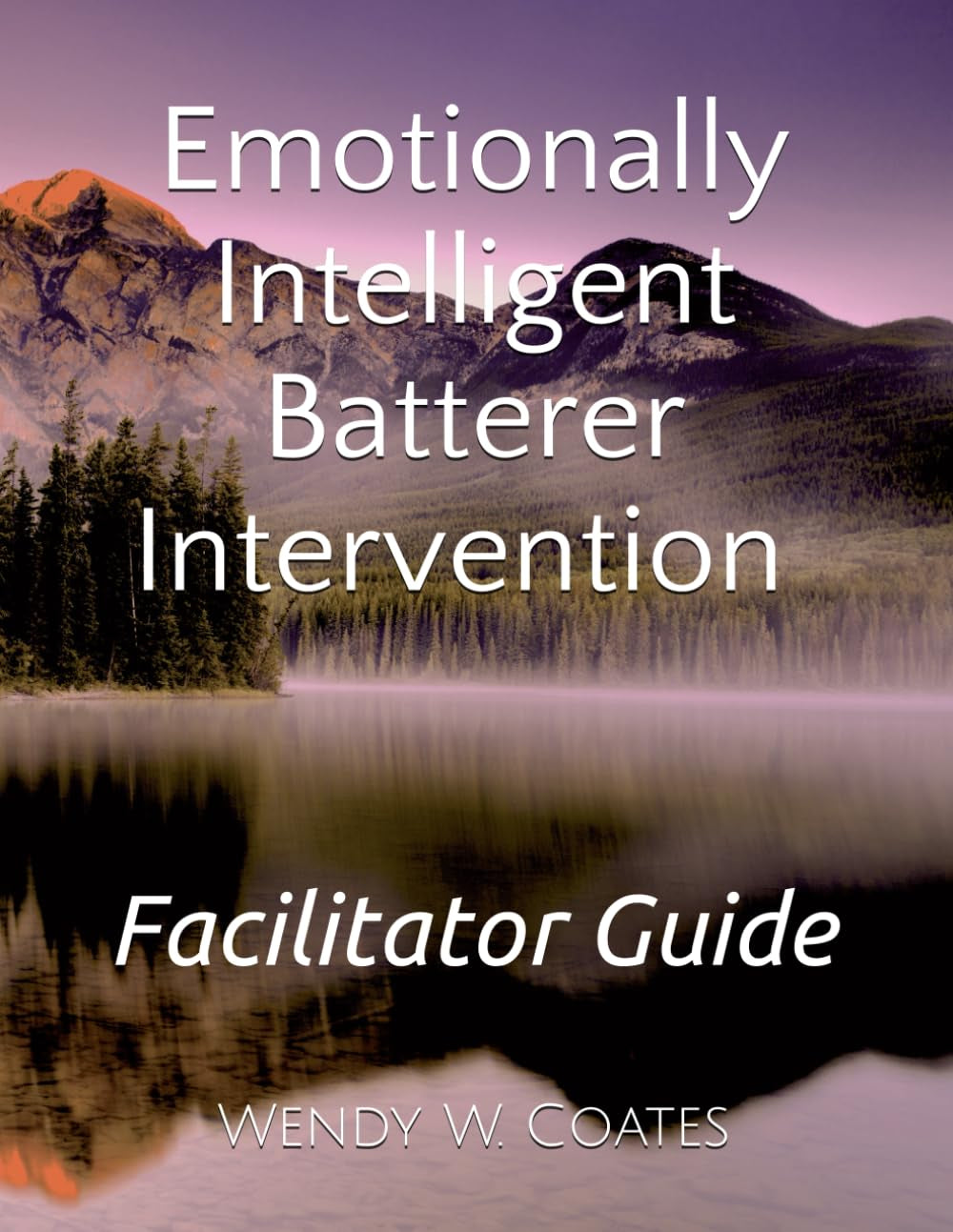 Emotionally Intelligent Batterer Intervention Facilitator Guide