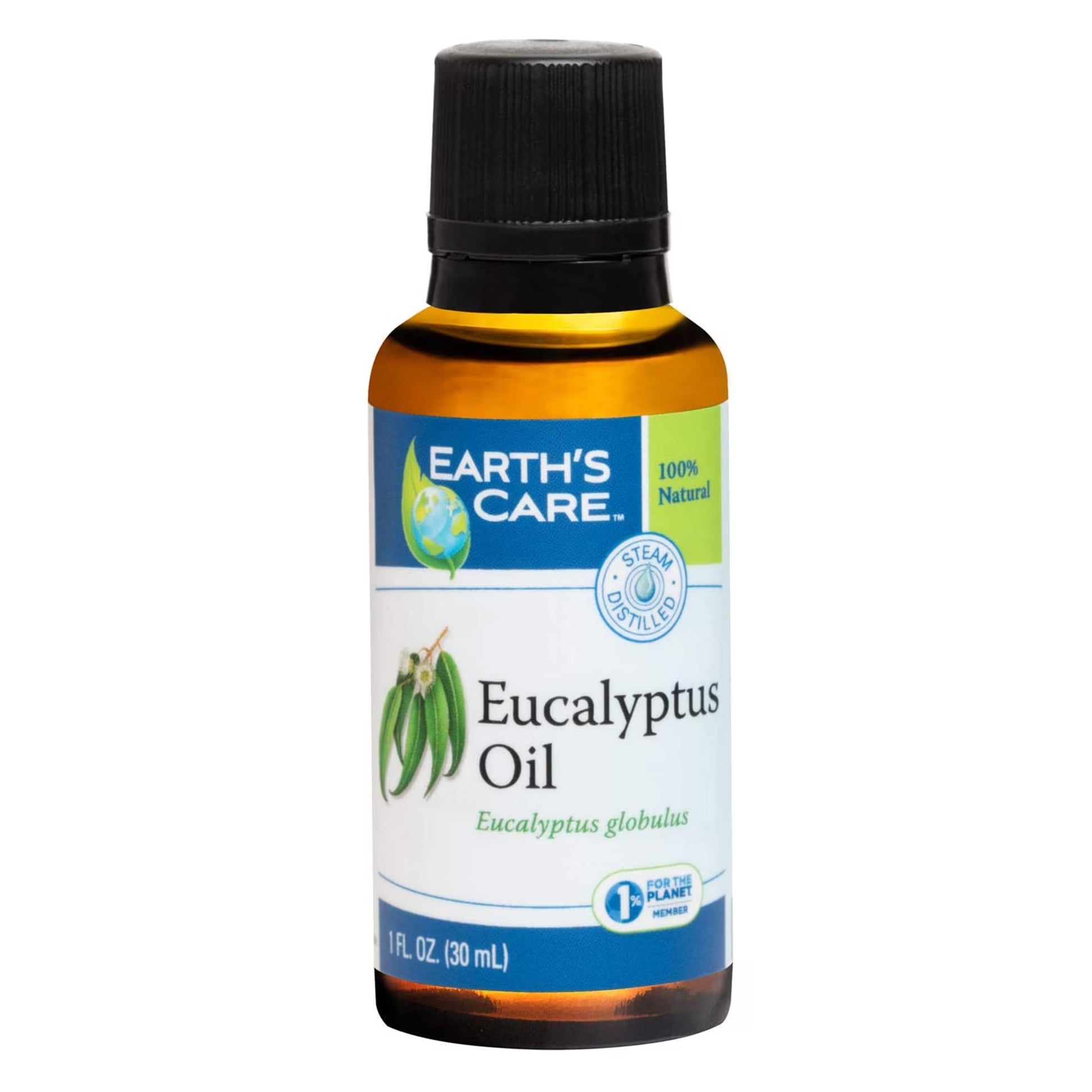 Eucalyptus Essential Oil - 100% Pure, Steam Distilled - 1 Fl Oz