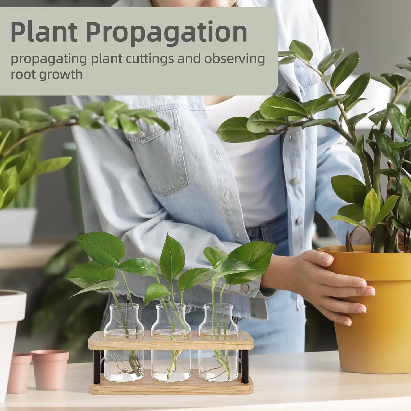 Plant Propagation Station with Wooden Stand, Propagation Vases Glass Planters for Indoor Plants Hydroponic Propagating Jars Home Office Decor, Plant Lover Gifts