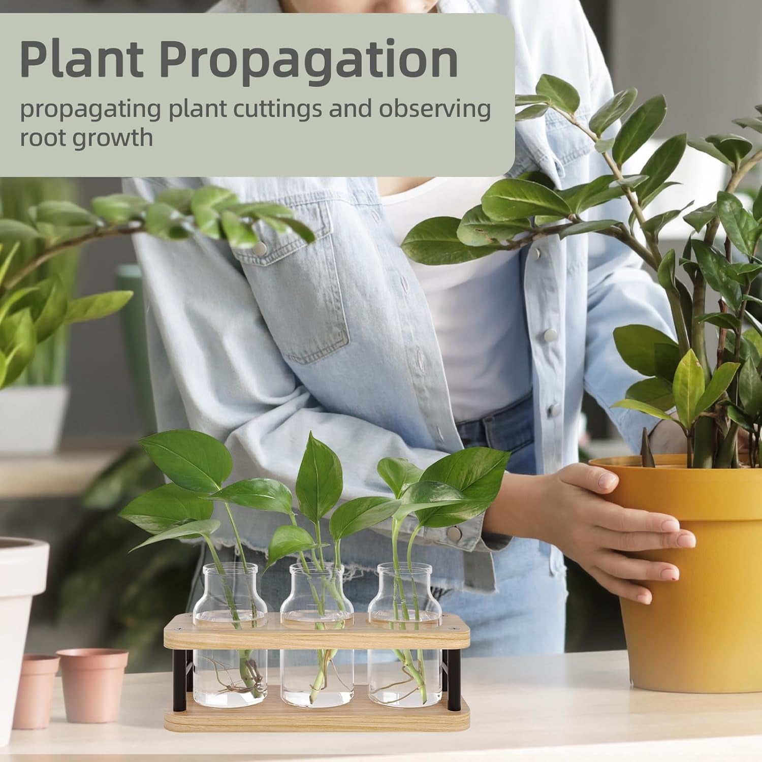 Plant Propagation Station with Wooden Stand, Propagation Vases Glass Planters for Indoor Plants Hydroponic Propagating Jars Home Office Decor, Plant Lover Gifts
