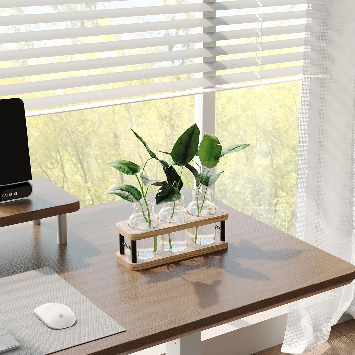 Plant Propagation Station with Wooden Stand, Propagation Vases Glass Planters for Indoor Plants Hydroponic Propagating Jars Home Office Decor, Plant Lover Gifts