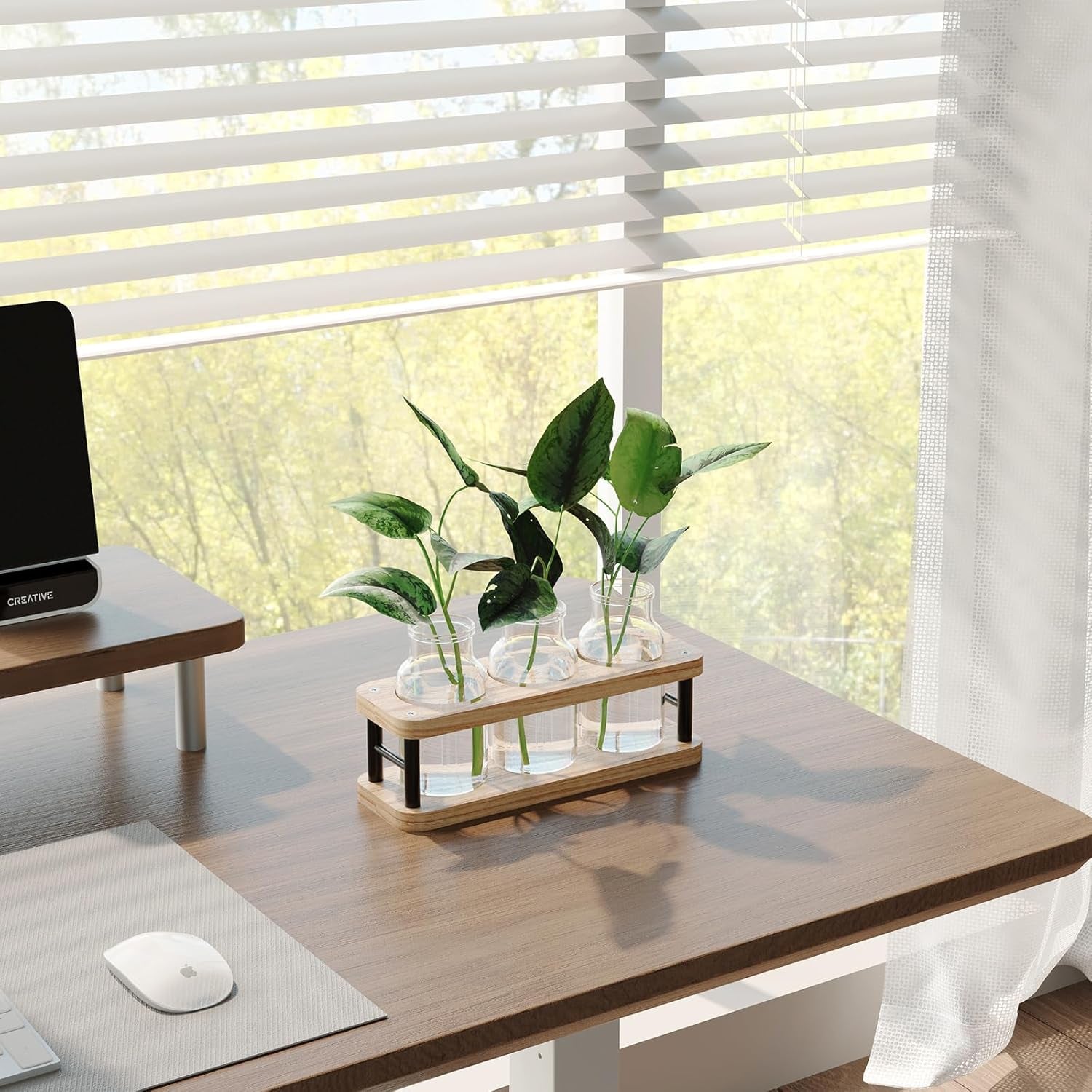 Plant Propagation Station with Wooden Stand, Propagation Vases Glass Planters for Indoor Plants Hydroponic Propagating Jars Home Office Decor, Plant Lover Gifts