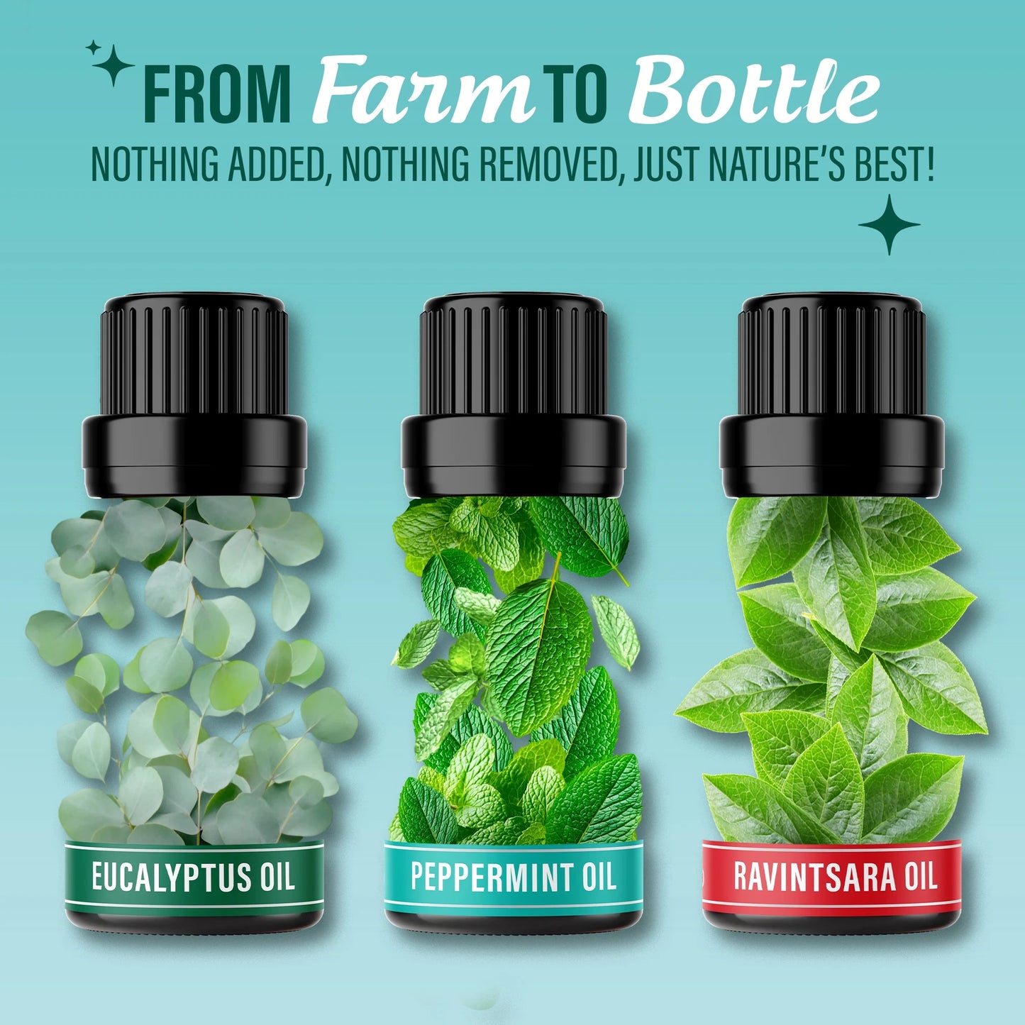 Breathe Essential Oil Blends for Congestion, Sinus & Aromatherapy - Set of 3